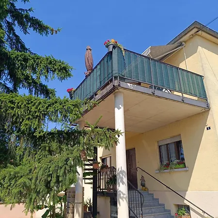 Confortable Avec Terrasse Et Parking A * Jebsheim