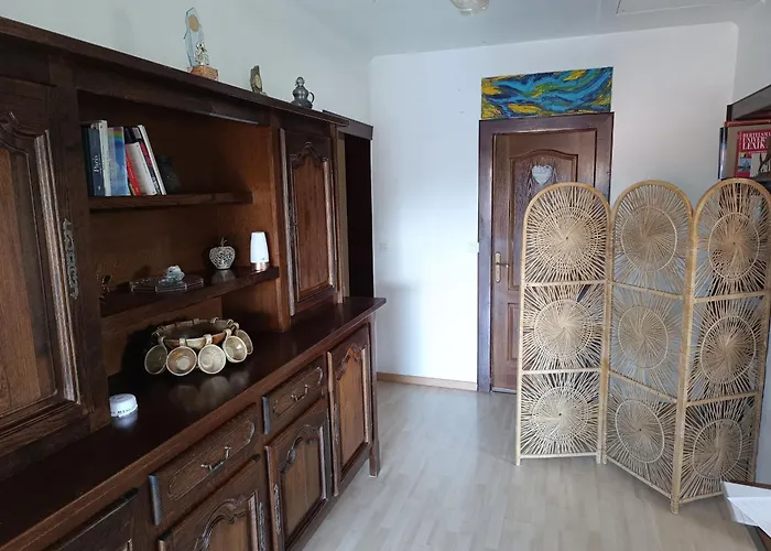 Confortable Avec Terrasse Et Parking à Jebsheim - Fr-1-744-50 Appartement *